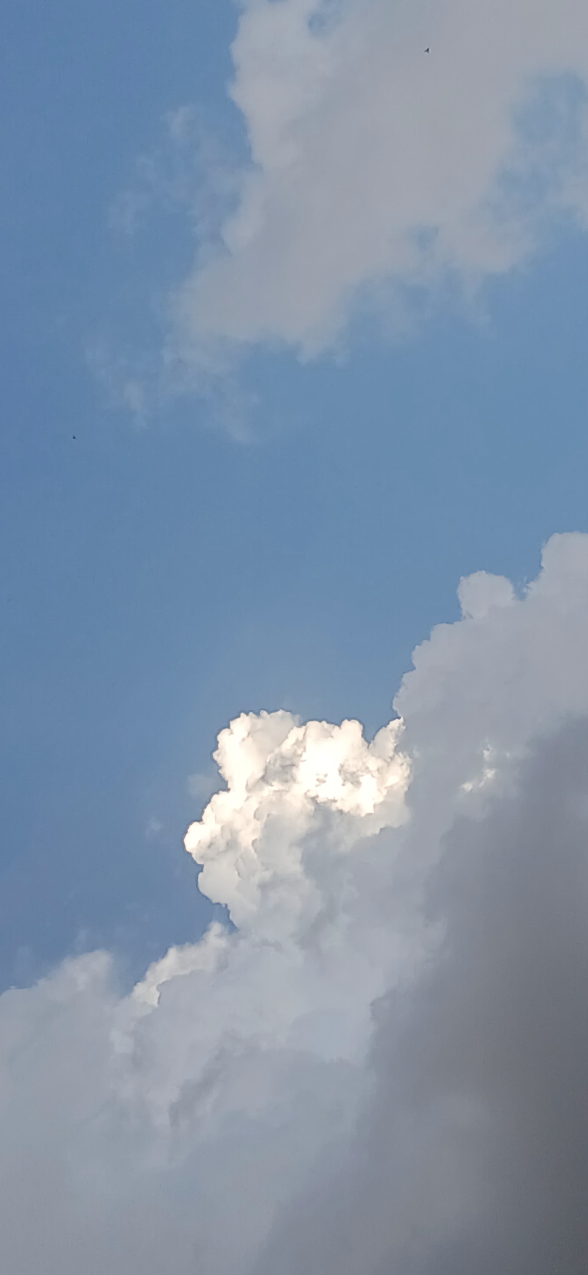 Images